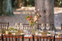 Alix - Table & Jardin d'Amis - Feestzaal - Feesttuin - House of Weddings - 6