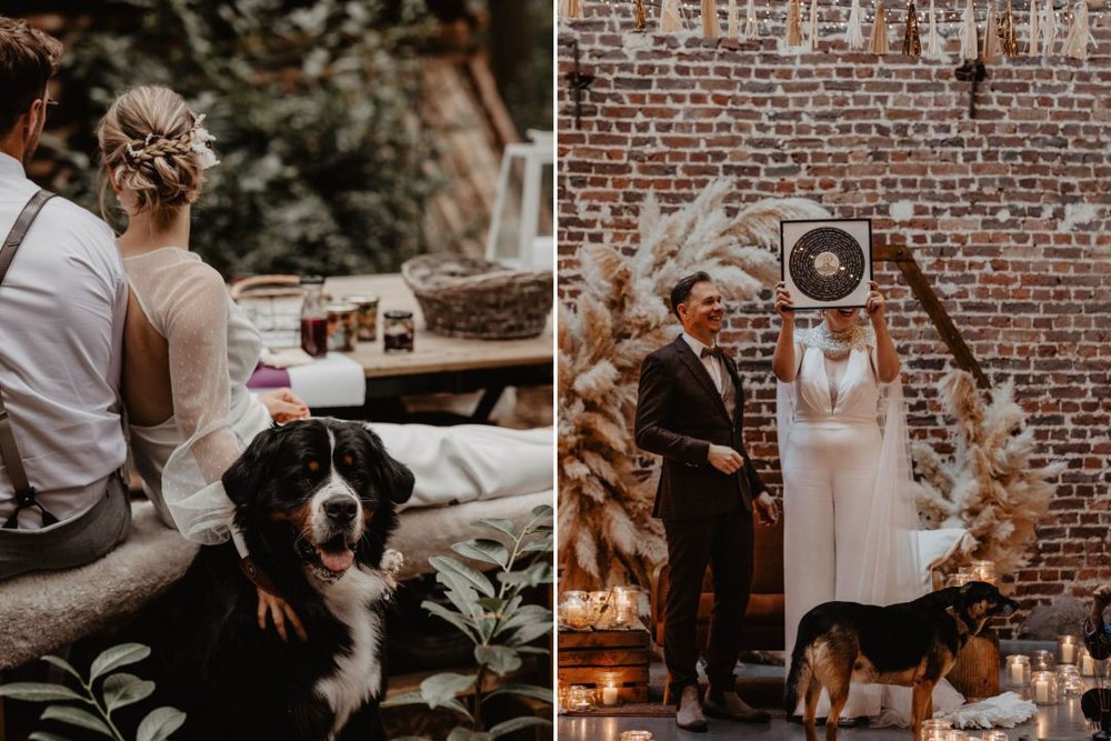 Your faithful four-legged friend on your wedding day