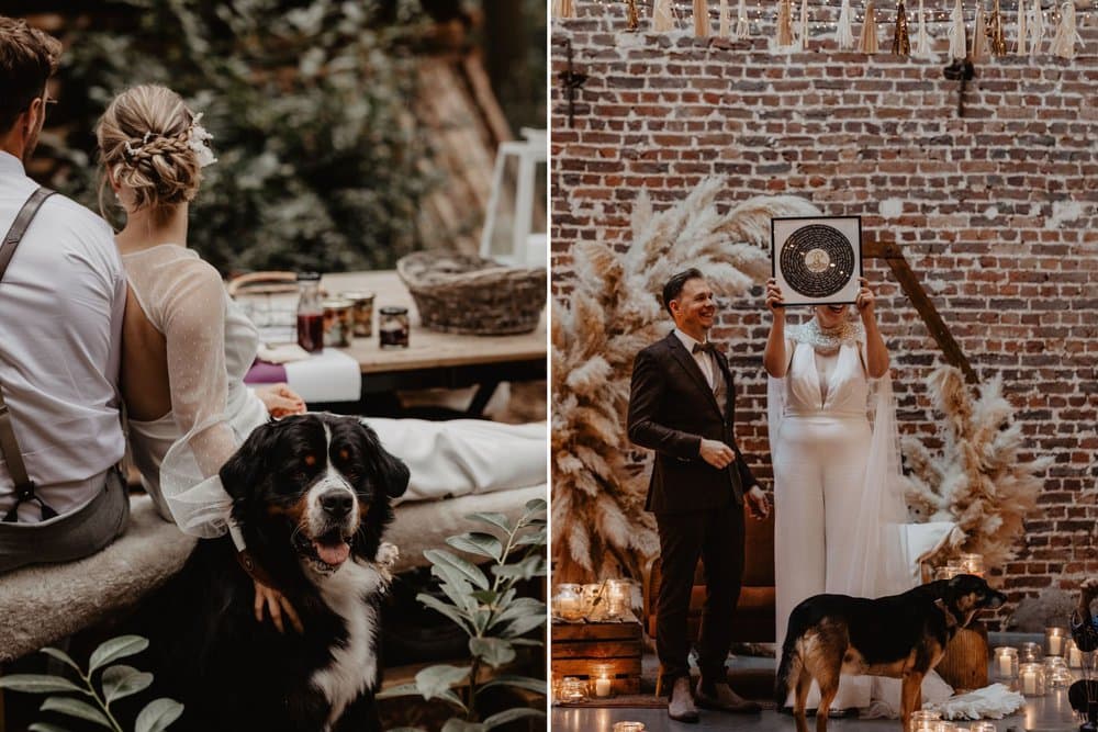 Je hond op je huwelijk: tips en inspiratie voor een onvergetelijke trouwdag