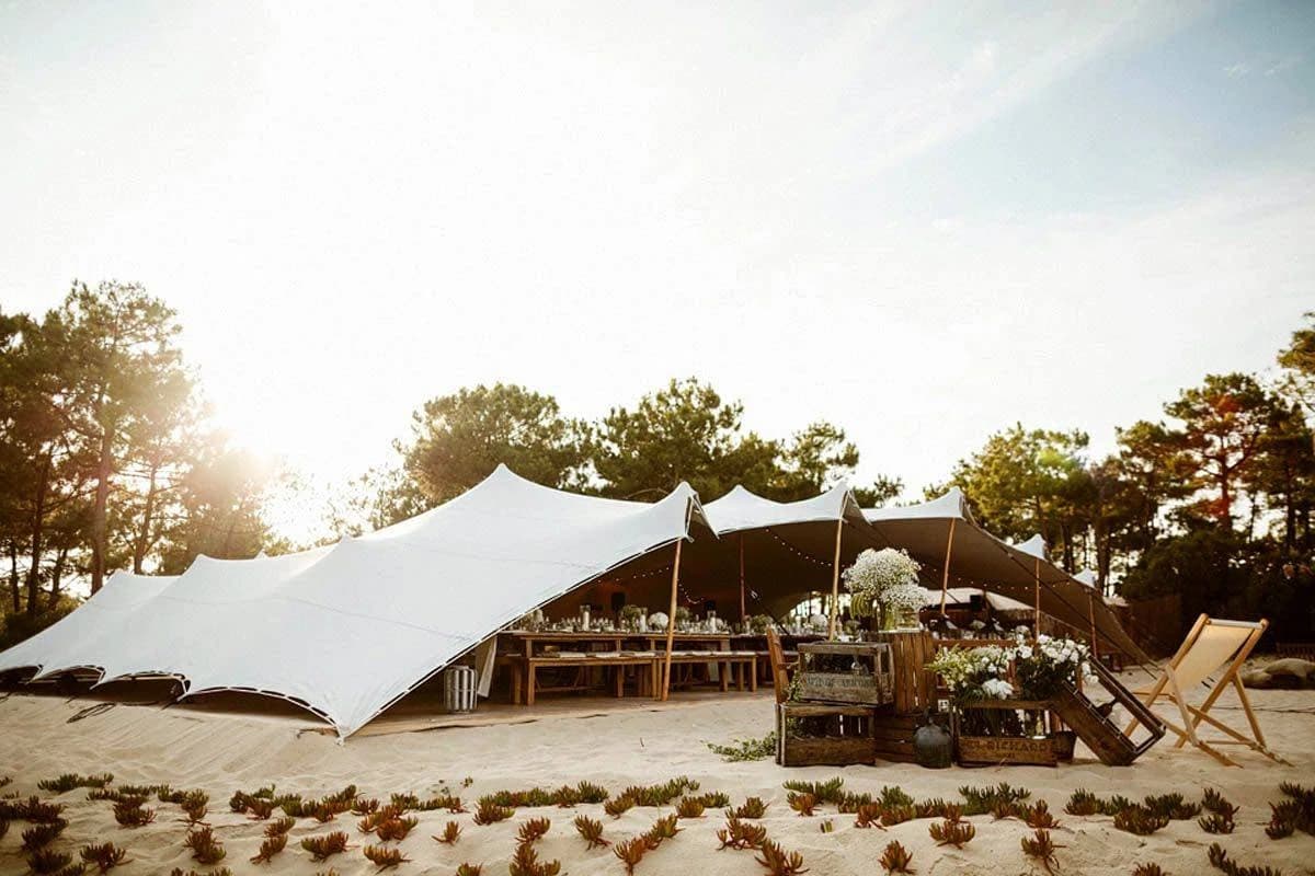 Organic-Concept - Image 1