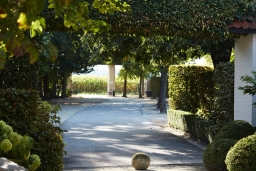Geuzenhof