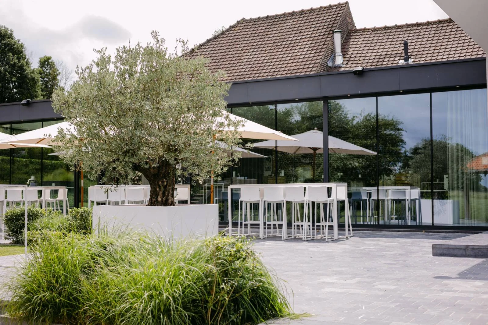 Kattebroek - Image 1