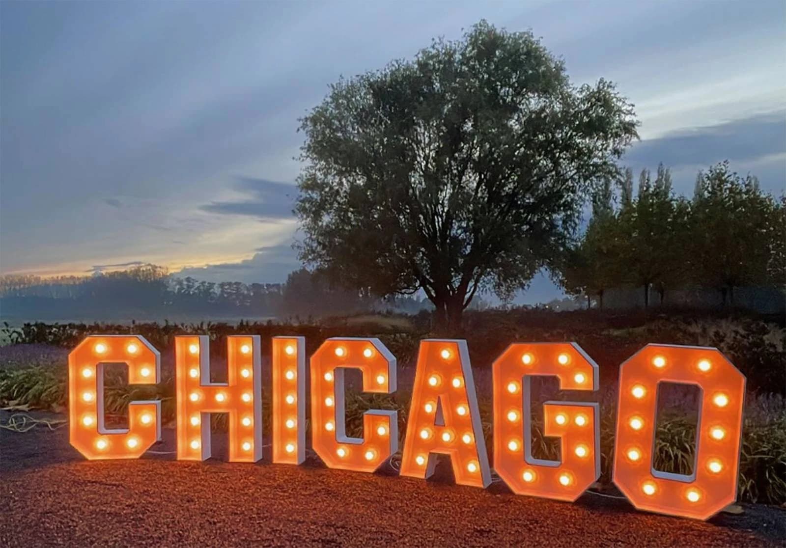 Partypimpers - Image 1