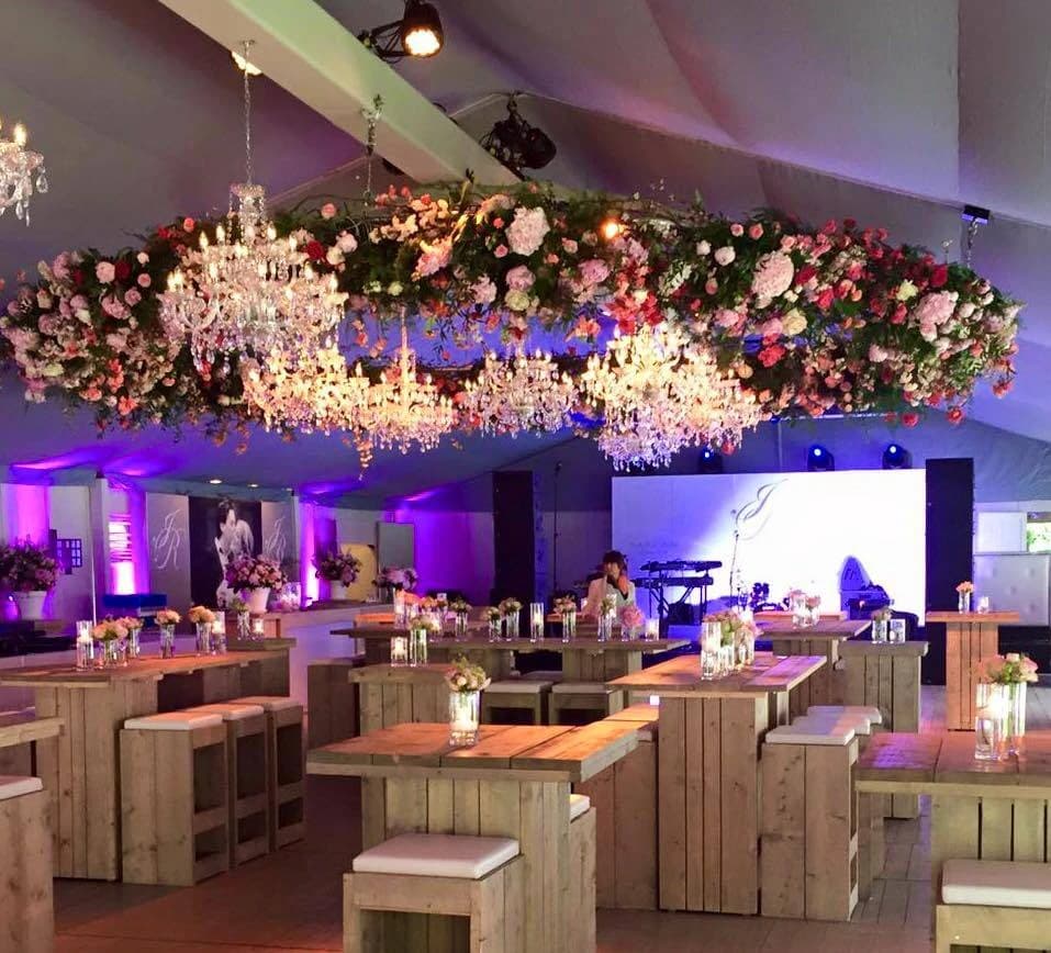 Frederiek Van Pamel - Image 1