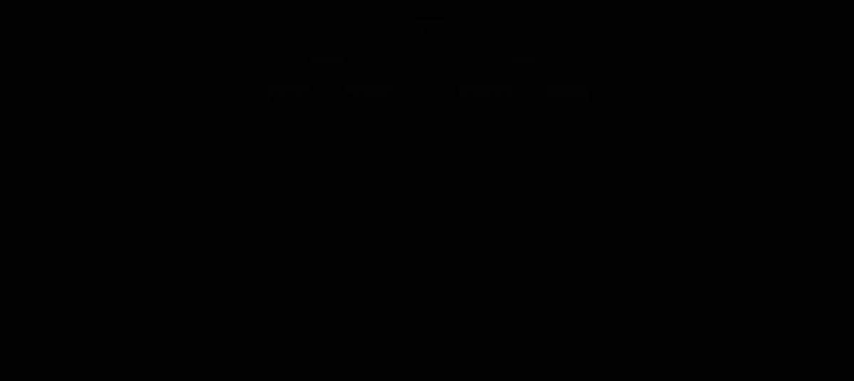 La Brugeoise logo