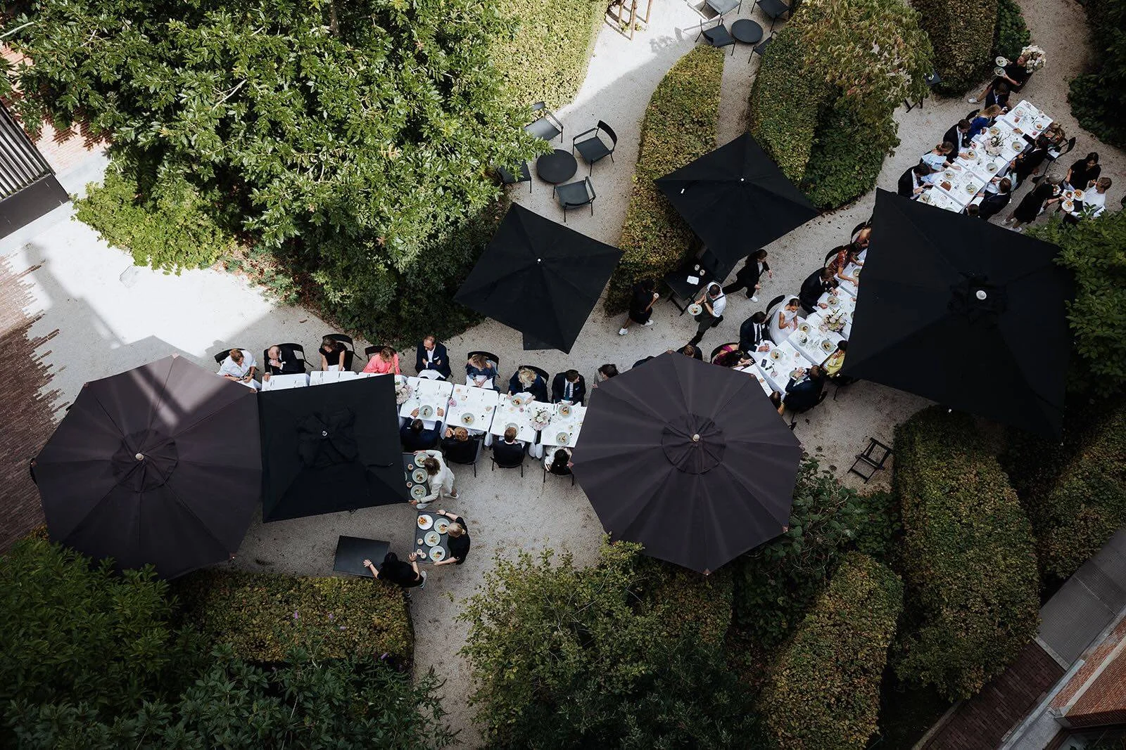 august - Image 1
