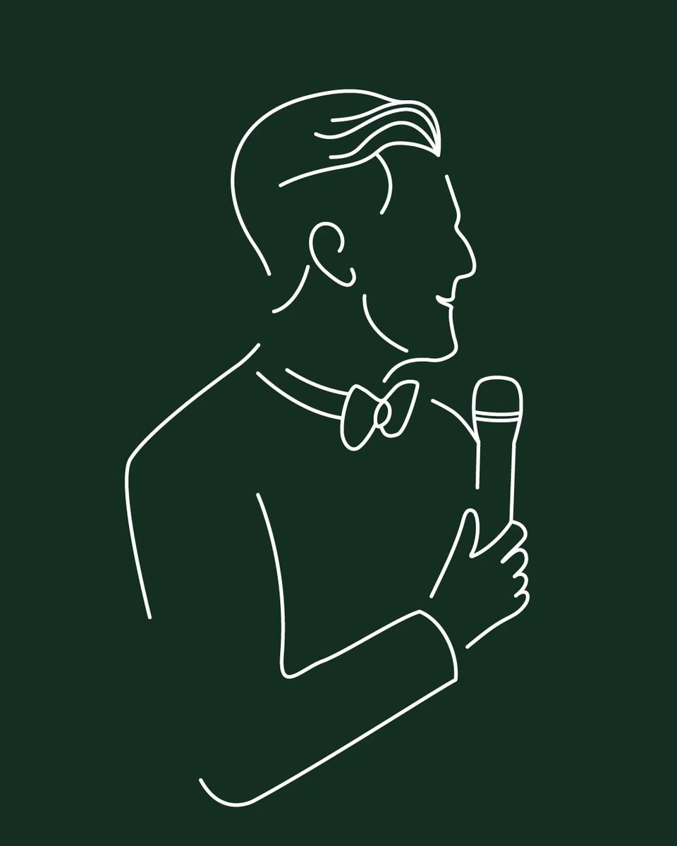 De Stemtovenaar logo