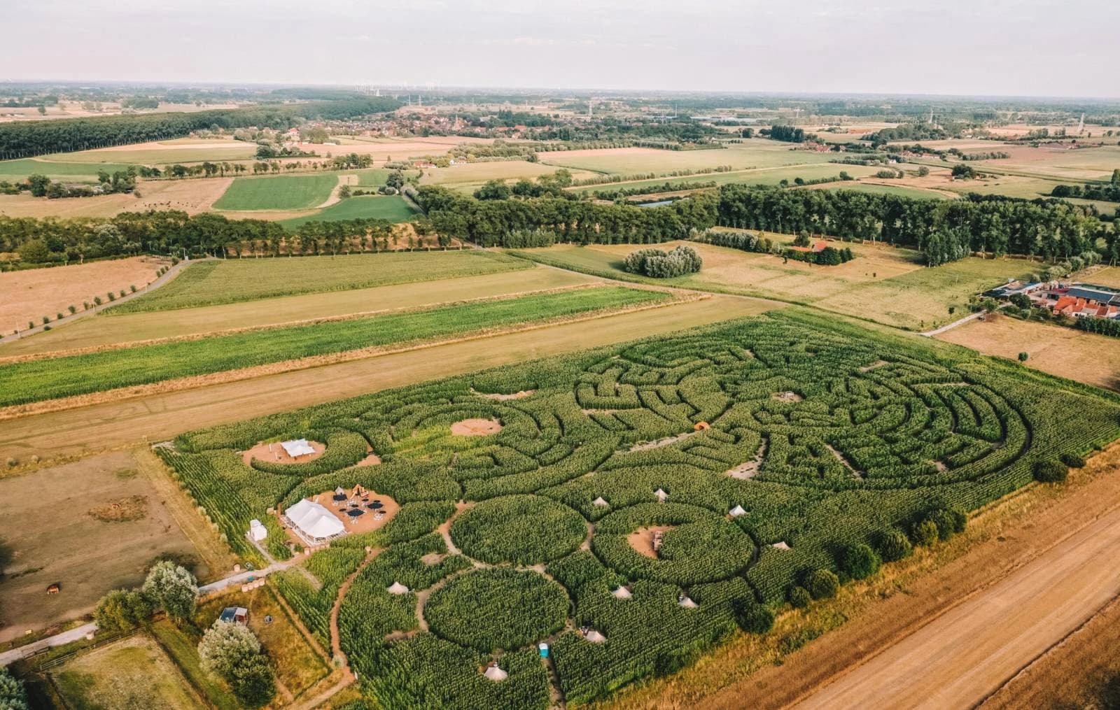 Maïsterplan - Image 1