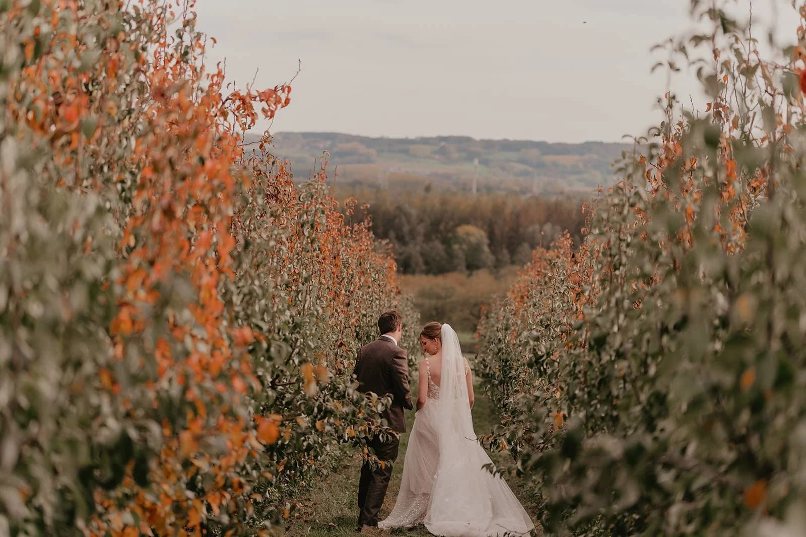 Studio Camerelle - Image 1