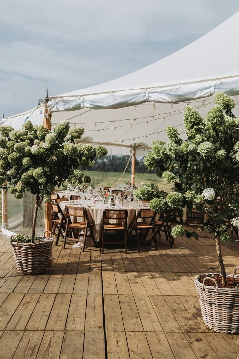 Levi Party Rental - Image 1