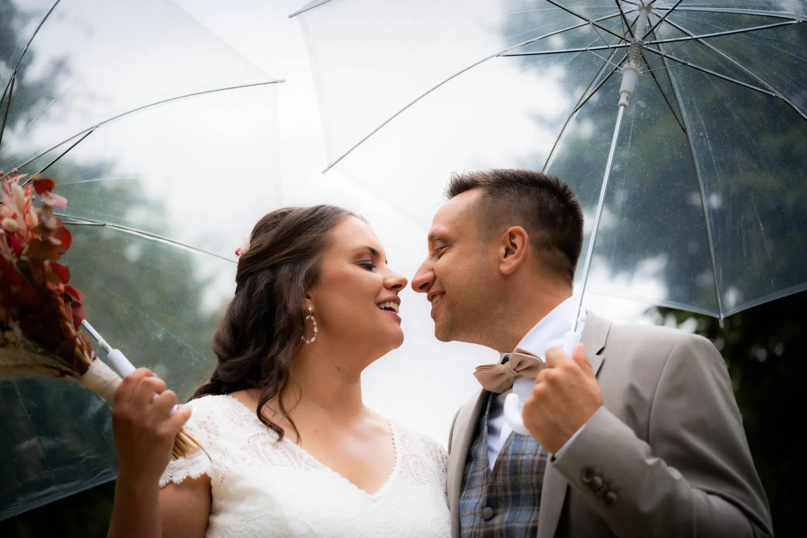 Christophe Bouckaert Photography - Image 1
