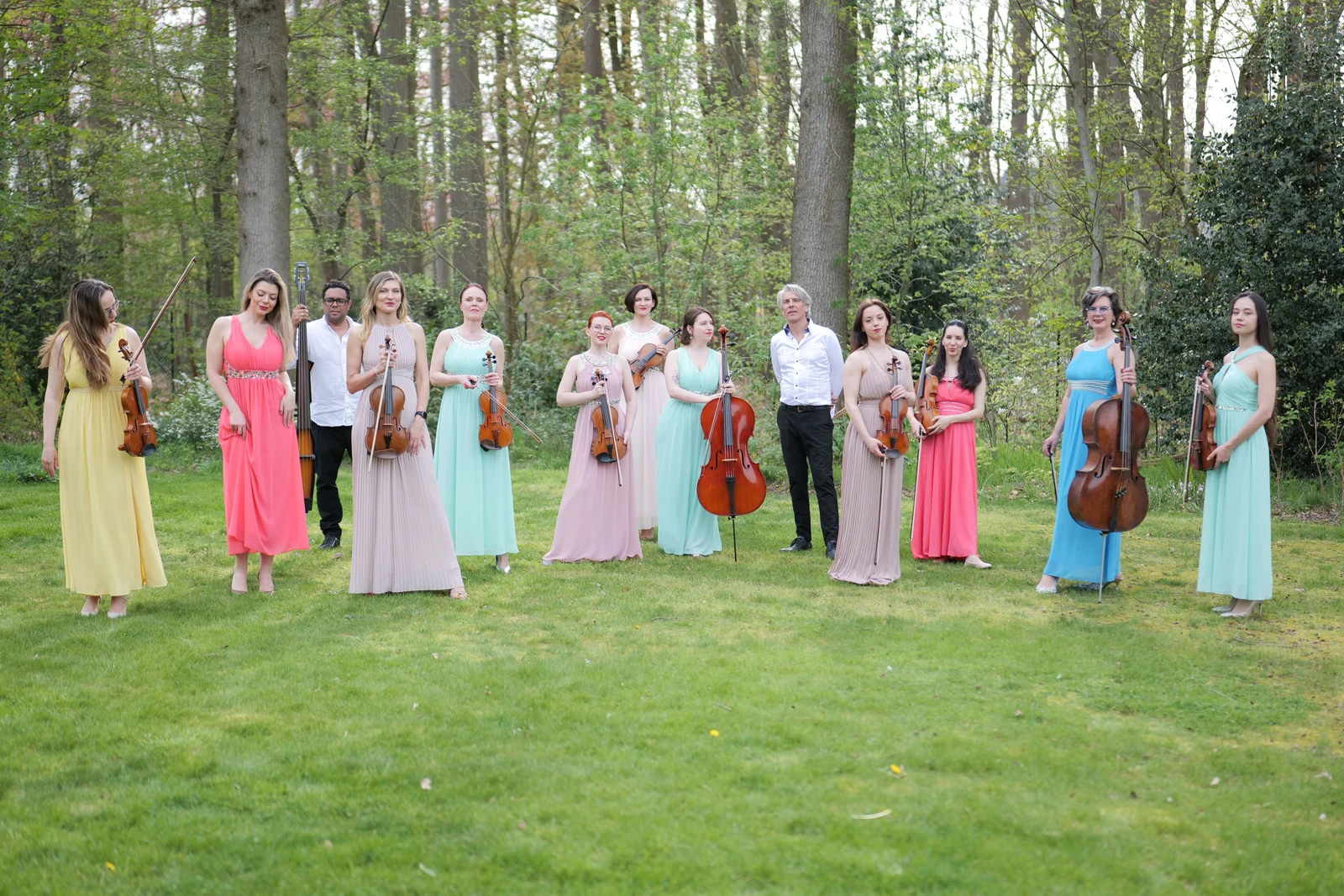 Scarlett String Society - Image 1