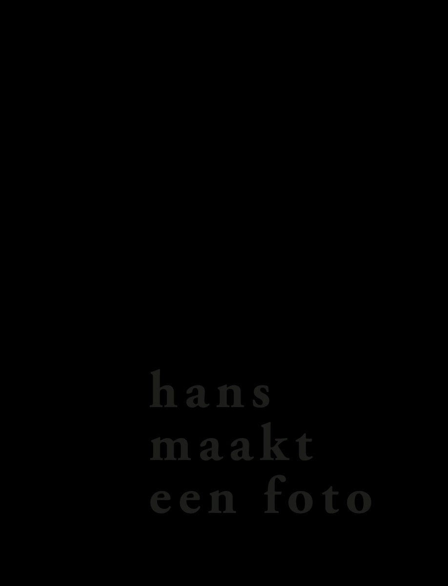 hans maakt een foto logo