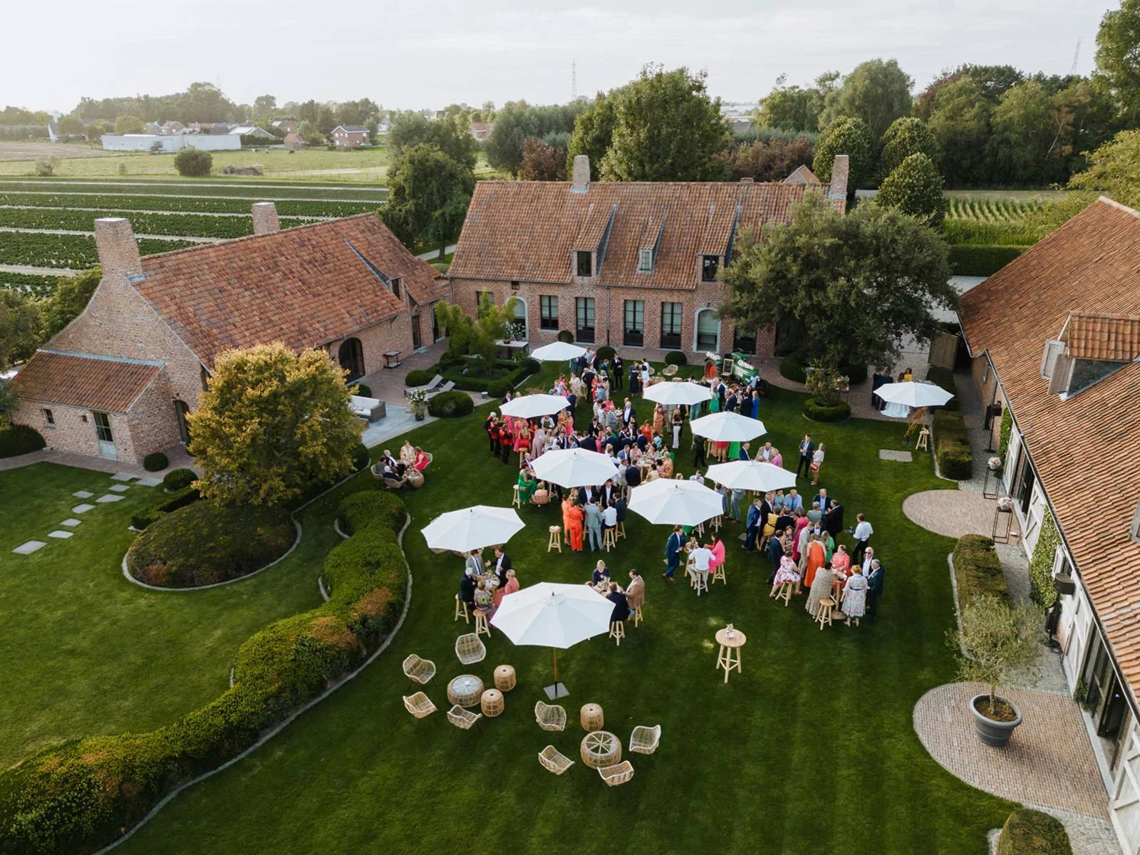 Hoeve Crisantemi - Image 1
