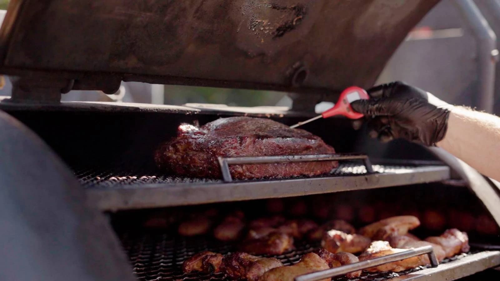 Exodus 12:9 - Image 1