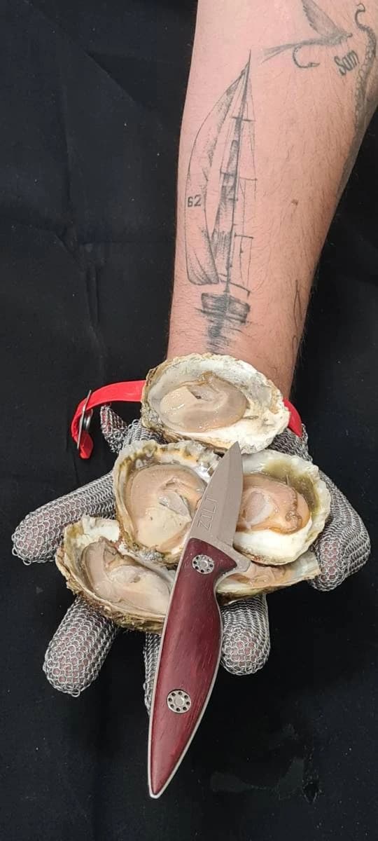 Zilt - Oesters en meer - Image 1