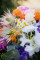 Lots Flower Art - Bloemen en bruidsboeket - House of Weddings - 5