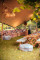 Megusta - Decoratie & Design - Trouwdecoratie - Event decoratie - Streched - House of Weddings House of Events - 9