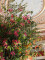 Paul Klunder - Bloemist - Bloemen Huwelijk - Huwelijksdecoratie met bloemen - Bruidsboeket - House of Weddings - 2