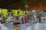 Senth Concept - 22 - Thomas Polaster - House of Weddings