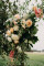 Tante Fins - Bloemen - Bruidsboeket - House of Weddings - 9