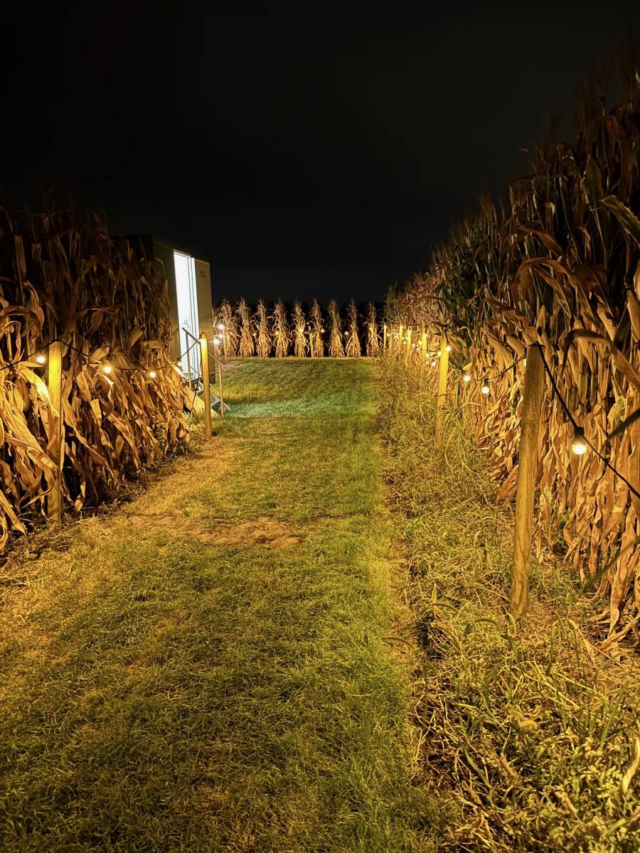 Discobar Deluxe - DJ - Licht & Geluid - House of Weddings - 5