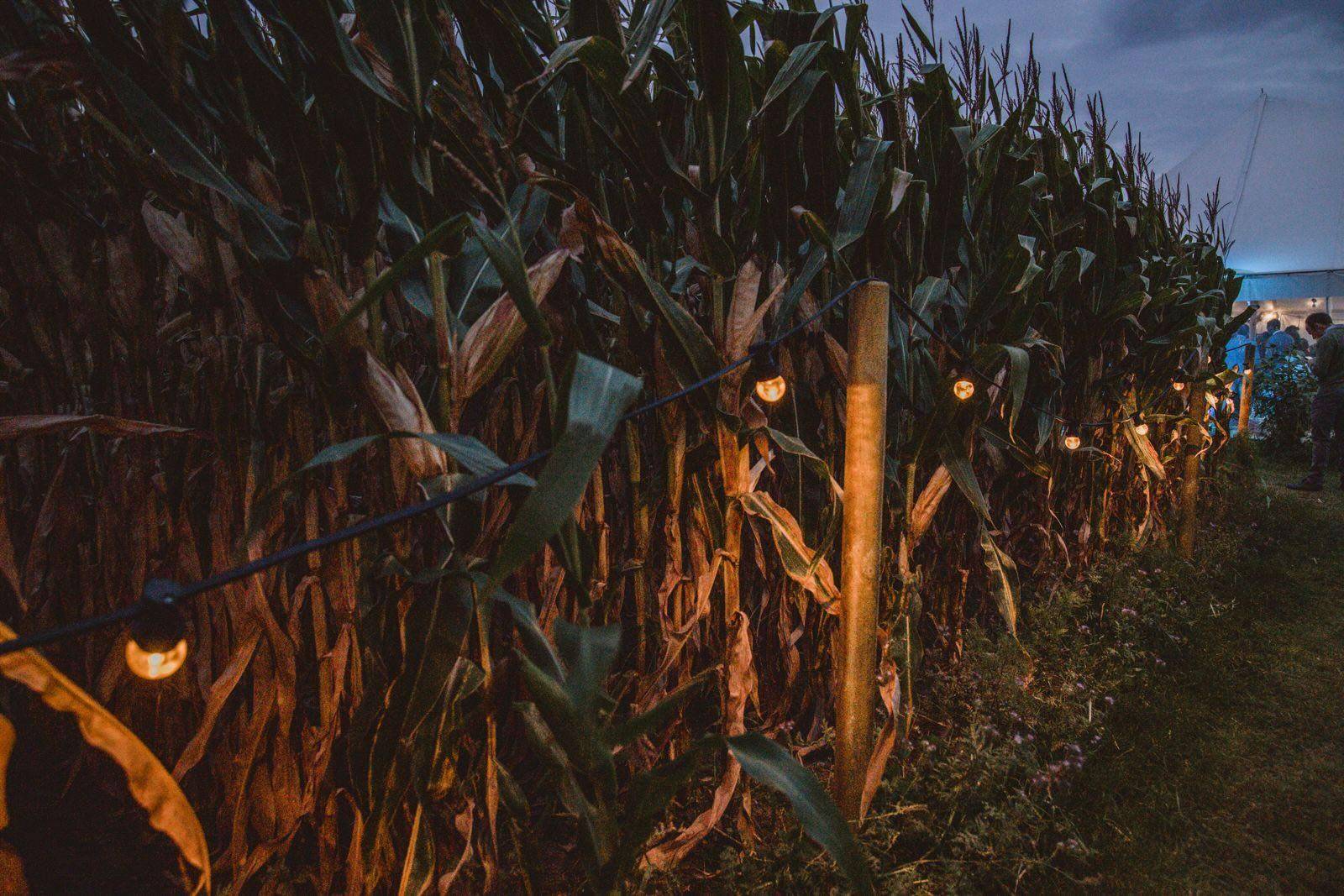 Discobar Deluxe - Prent Fotografie - DJ - Licht & Geluid - House of Weddings - 1 (1)