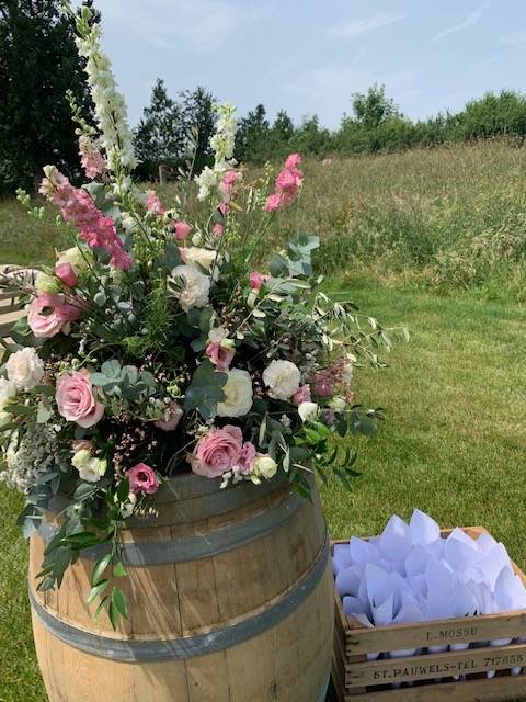 El Florido - IMG_8746 - House of Weddings