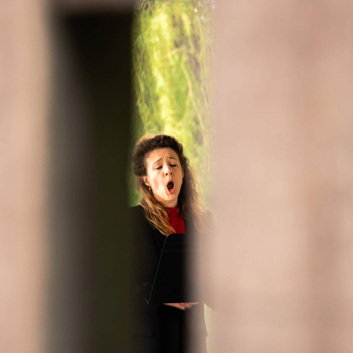 Anne-Sophie Lermyte - George Beerten - Live muziek - House of Weddings