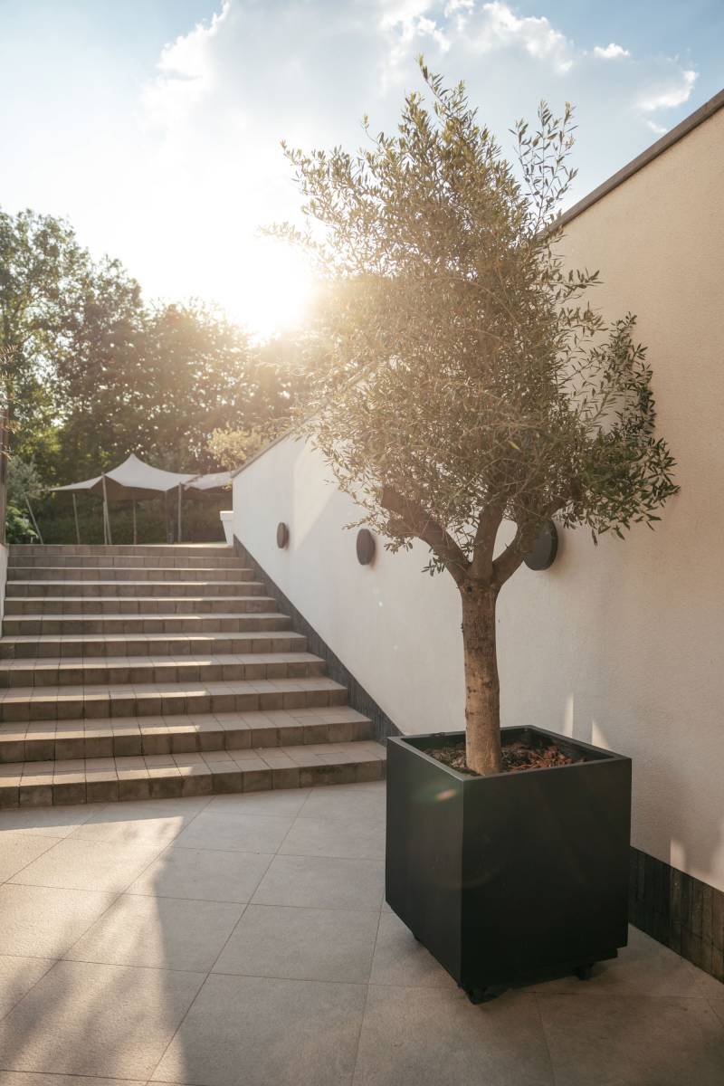 Krekelhof - Ellesvisuelles - Feestzaal - House of Weddings - 7