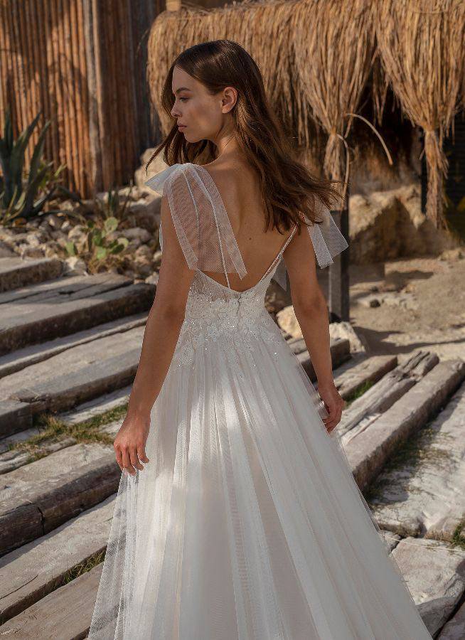 p_ohanna_ivor_ivor_papillon_2022_ohanna_cu_back_1_6139