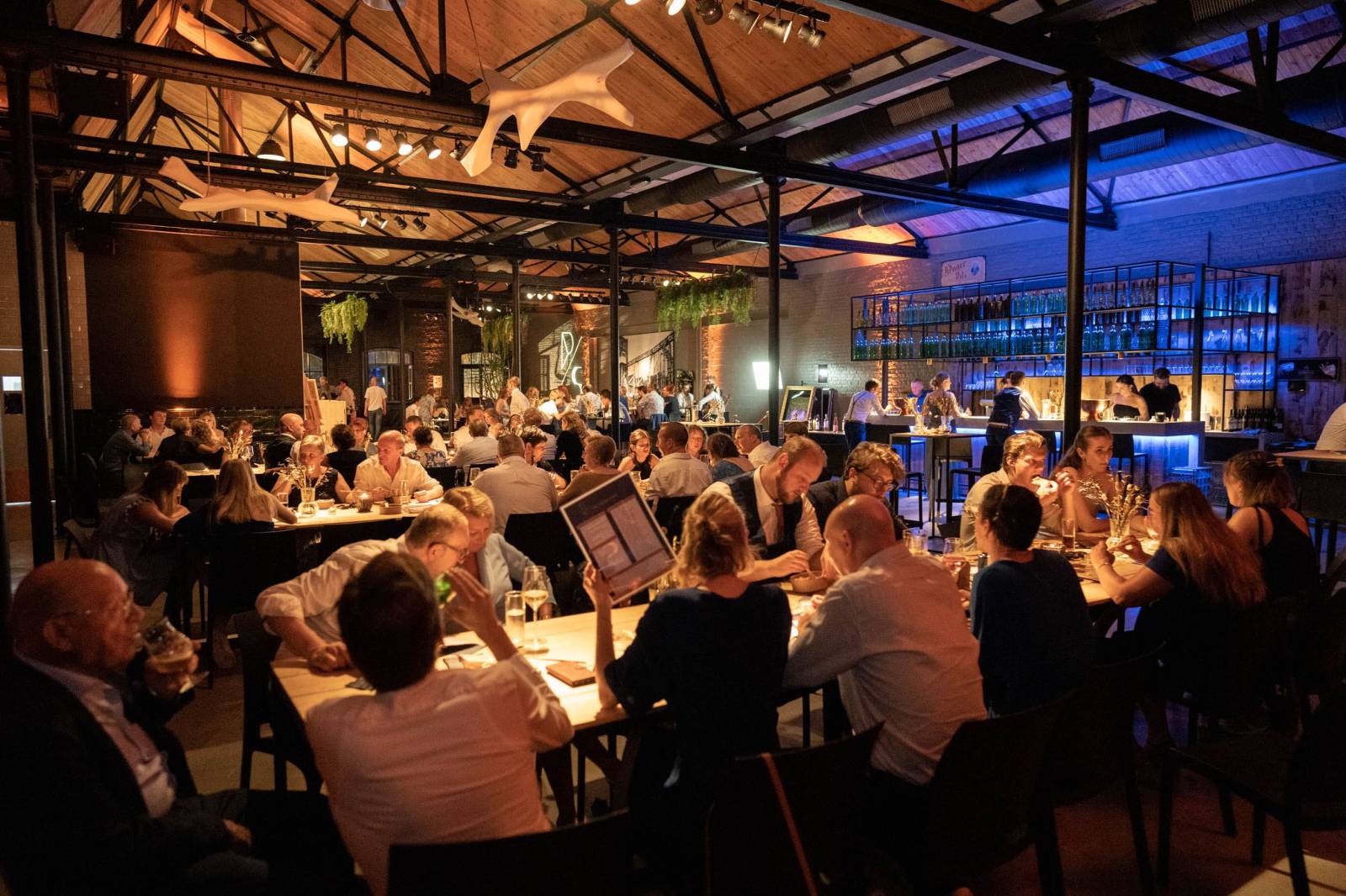 Peignage - Feestzaal - House of Weddings - 17