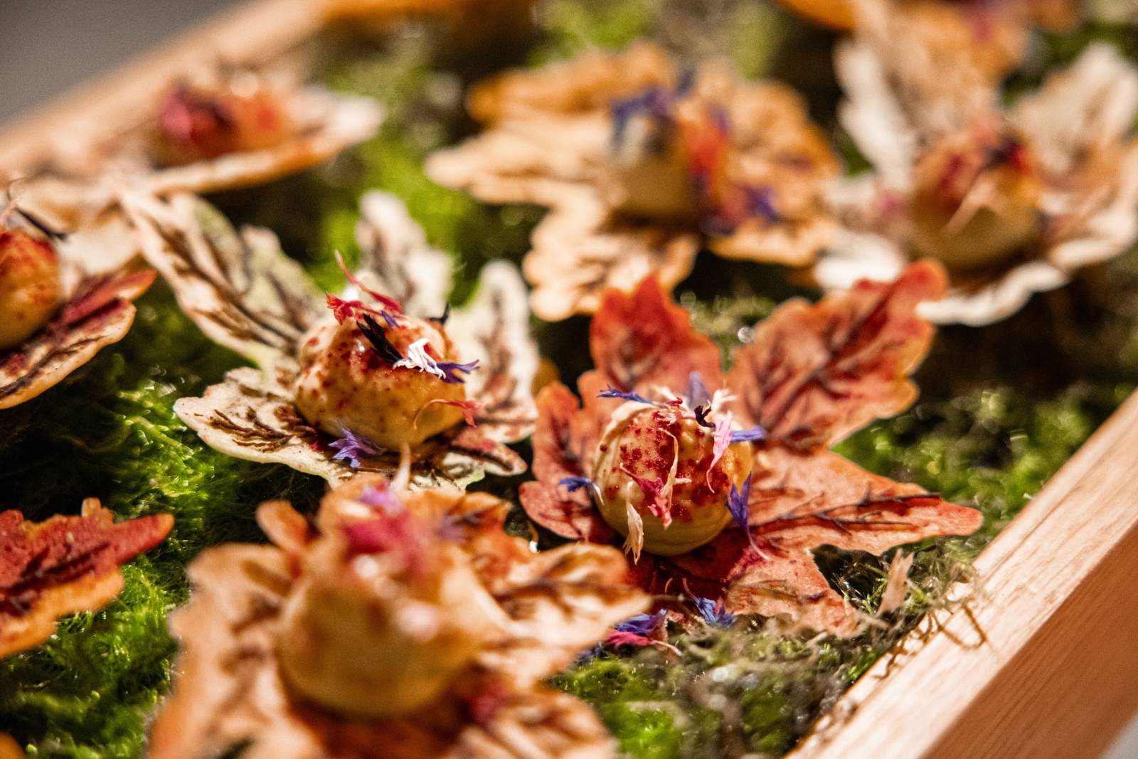 Woodness - Love Motion - Catering - House of Weddings - 5