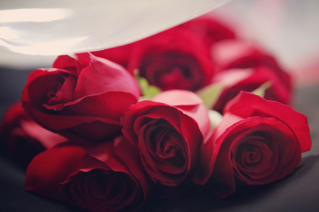 Samenwerken met Ontslag nemen Monument De rode roos, een klassiek symbool van de liefde - House of Weddings